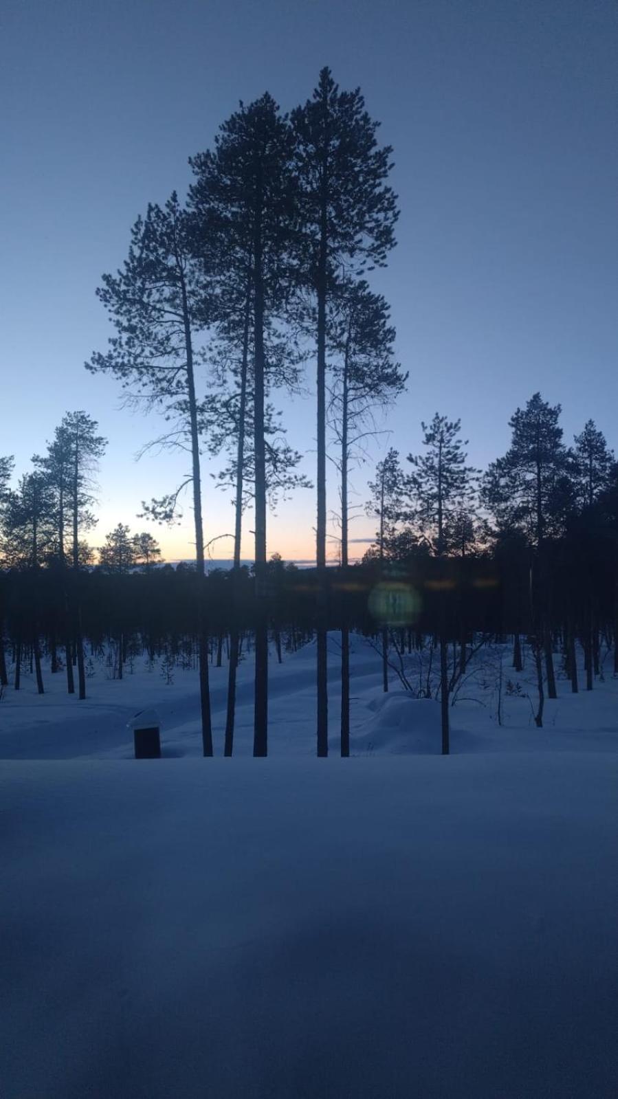 Villa Lusma Inari Luaran gambar